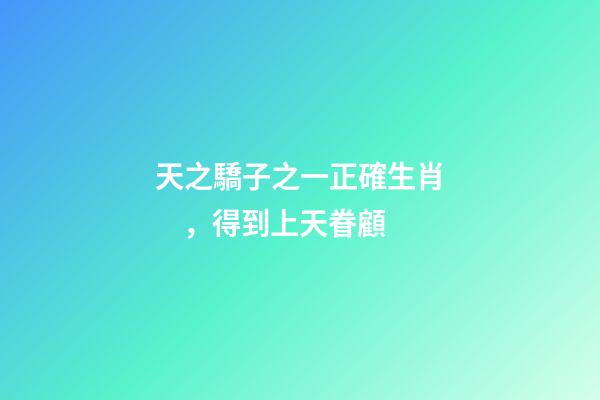 天之驕子之一正確生肖，得到上天眷顧